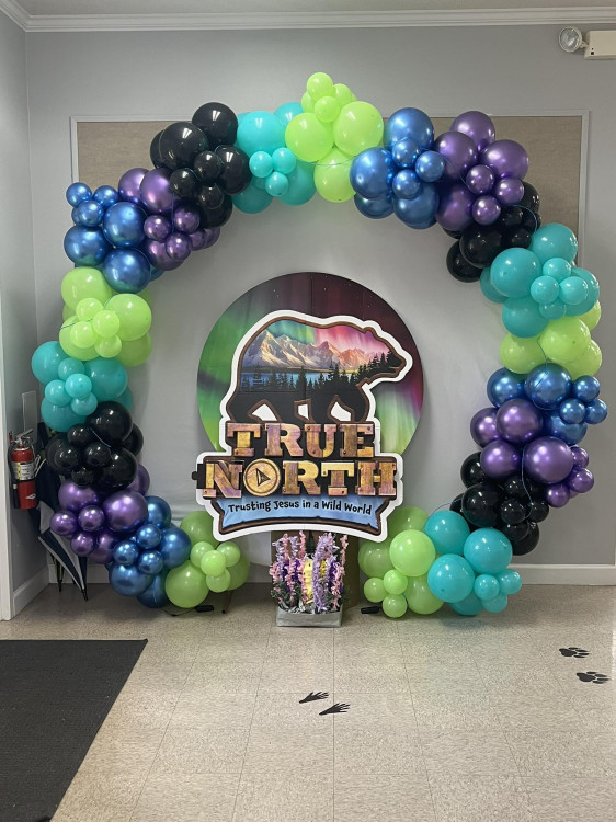 Balloon Garlands/Back Drops